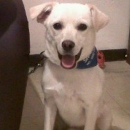 D f555aa14 8dad 4f73 90a4 996fbaebfc72