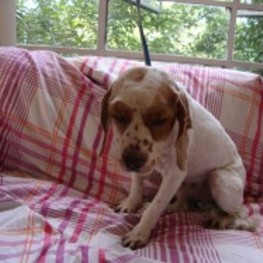 D 8e158bbb f6bc 43d5 8f74 59a531bdedc8