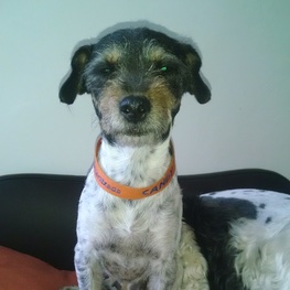 D 21b777e0 f428 4728 ab49 b618271afe03