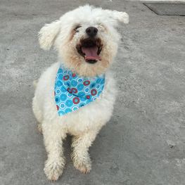 D 9e4d343f aa91 42bf bda2 4576e05c5ab1