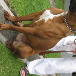 D 380a25ca 9210 4419 b09c a29e7085d993