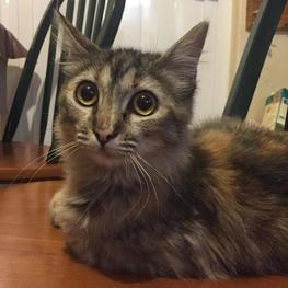 D 309581a3 c04e 4d5e a1df d6c02d13763e