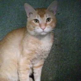 D 28579ba8 93ee 4c4e a27c 229757516a61