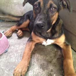 D dedfb427 0314 4cb4 809a 23e63619edc1