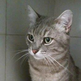 D 11c03fe4 7238 4684 a795 2ba8efca7c46