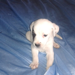 D 195b1154 70e2 475e 919a 9f21a3c2481d