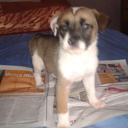 D c41750b9 9a5f 4e44 a4c4 bc1425ee6044