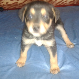 D 035209b3 29fc 4c28 8008 d589e73e6bae