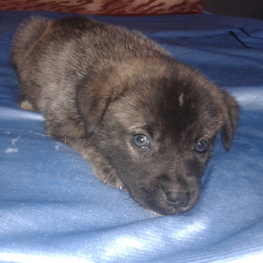 D 9c6e7be1 f94c 404f b024 cdedf1b38eb9