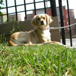 D d1415b07 4829 4eb0 b0c8 28e1cdb28e13