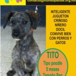 D 2ced6eb8 816d 4d9e 9615 c0510bbd0802