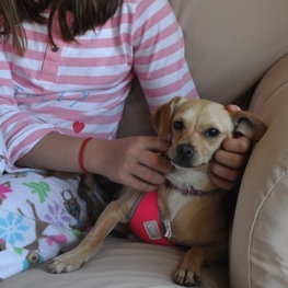 D 90a7fa82 f8eb 4748 8bd0 708b316c743a