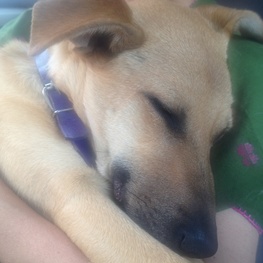 D 5c6573bf 0436 478c a8c2 21a336645ce4