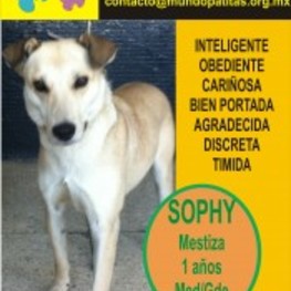 D 711df5c6 f1ef 4eb5 86df eecc1c2087bd