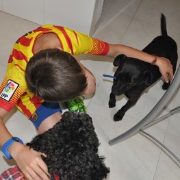 D 04b3e3fd 047c 4598 8cc4 c39cfb55eb78