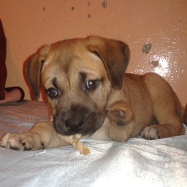 D ff93ff86 ca57 4c29 9e6d 2fae84e98b7f