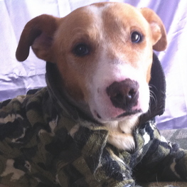 D 0f57e591 0f70 45ea 9952 607cf73d8678