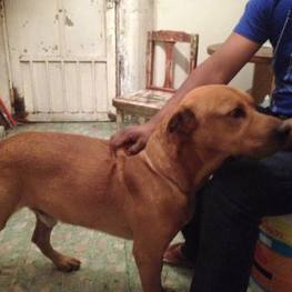 D 7ba8e3ac 8666 4821 bd6f 436320f3f029