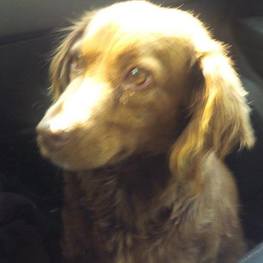 D 0b2de2bd d255 4863 b1c6 98b7a27e09db