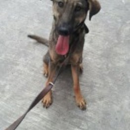 D a89ca089 4b25 4558 9e70 1781d954a055