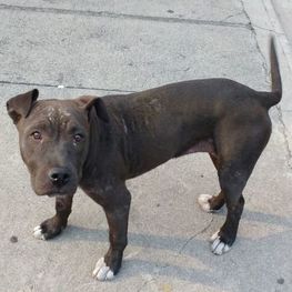 D 1ca680b4 d780 40c8 8550 3bed1a70e3fd