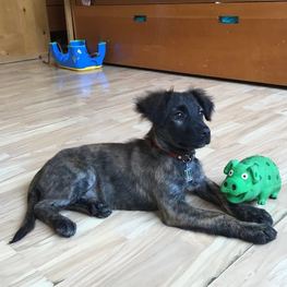 D 108c7ab7 16d4 41df 9bd5 624df5838806