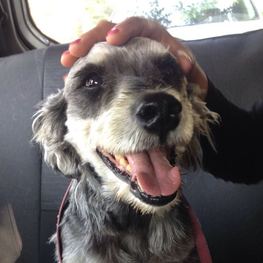 D eb0803f4 e3d2 46f3 b8c8 57739de0b273