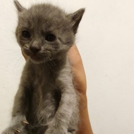 D 653bf7d6 7a80 44a3 84dc ee048f672e29