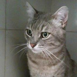 D ae62e2c9 c528 4a6f 8bf4 84f7f7ca99a4