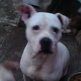 D b82da5bd d148 45c4 b9e2 f285f2871c3d