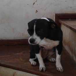 D 2e7e30f4 43f8 4795 b495 7e13abe1279b