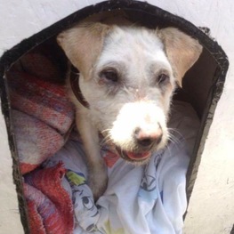 D e2dd9d6a 53f4 446b 9b8b a5ac1efaa9fa