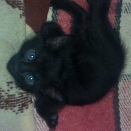 D 6f353368 9b47 439e 8513 835d4ce7b4b7