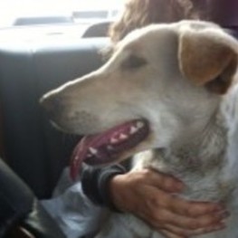 D b6e864e1 1935 4dbc ba49 1d8e327212b9