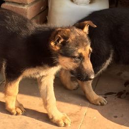 D 32f0b866 ca1f 4384 9754 28df8aa93644