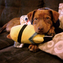 D 17d49422 af54 4ca3 b0db b415945835fe