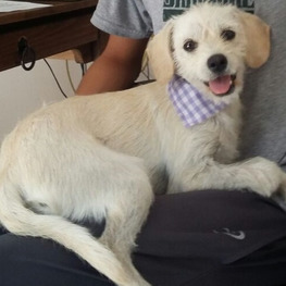 D b3ebbbe7 a496 4d5d 99b9 8aaa62bed1f3