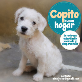 D 4208986e aaec 4045 8e61 d18dd891dddf