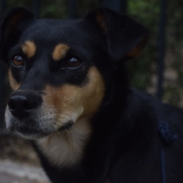 D c807c8c3 7663 4ad7 975e d06fb02ff5f3