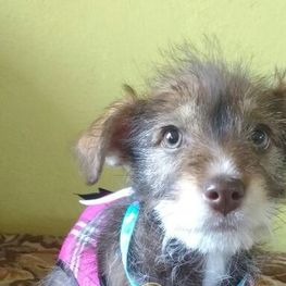 D ea0e8cfd 6d6e 4f49 9b25 d30ba4c0e6a2