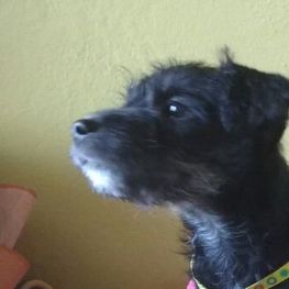 D 34b44d14 79c5 4906 8ee7 38f7d18acae7