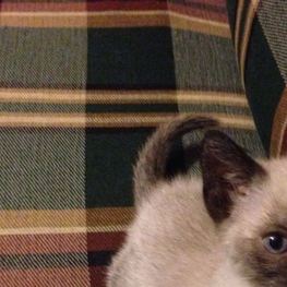 D bc83ab2c 7e6d 447f 9e10 dc9984fb7f90