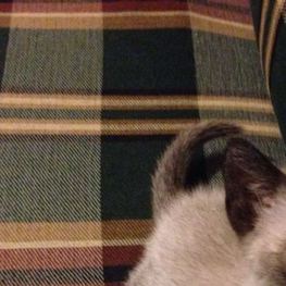 D 48043971 bc02 4a8e 9126 929bb92a1112