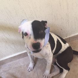 D 4c239c54 52cf 4ce5 a214 e4d778247a65