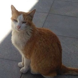 D 004d2c52 a6c1 43b6 a7cf ae07fd09018f