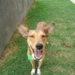 D 981e76a5 812a 4d1b b5ed 8faddb8773f6