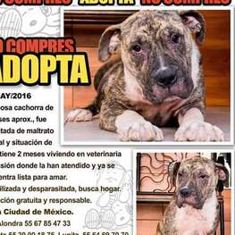 D 68f5fab8 22a4 400c 99f0 22606b852fbf