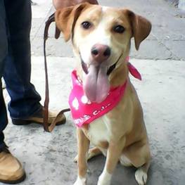 D 137c37b8 ca15 4b44 90b2 9896c89623ab