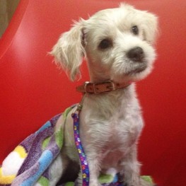 D e559af91 baf8 47fc 8e4a d5f7699a1e36