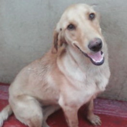 D 0abe1c98 33f4 4964 be6e 548b6e7561cf